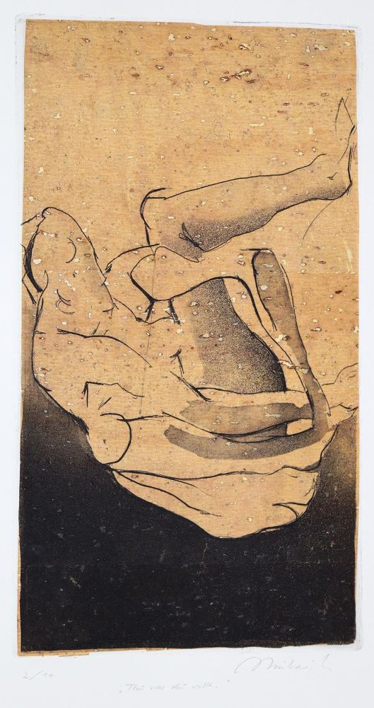 Große Abbildung Nr.1: 139-1201 Braun,V.: (Literatur und illustrierte Bücher 20.Jahrhundert - Alte Literatur in modernen Ausgaben)