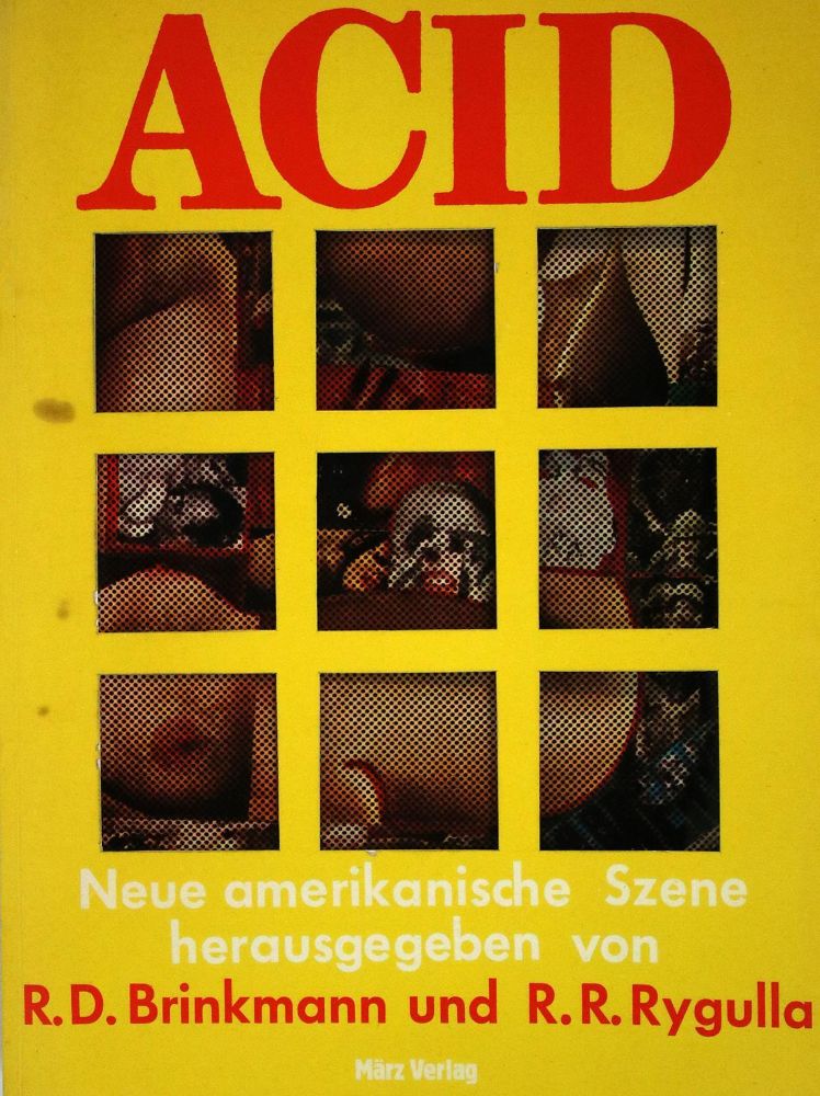Große Abbildung Nr.1: 139-1207 Brinkmann,R.D. u. R.-R.Rygulla (Hrsg.).: (Literatur und illustrierte Bücher 20.Jahrhundert - Alte Literatur in modernen Ausgaben)