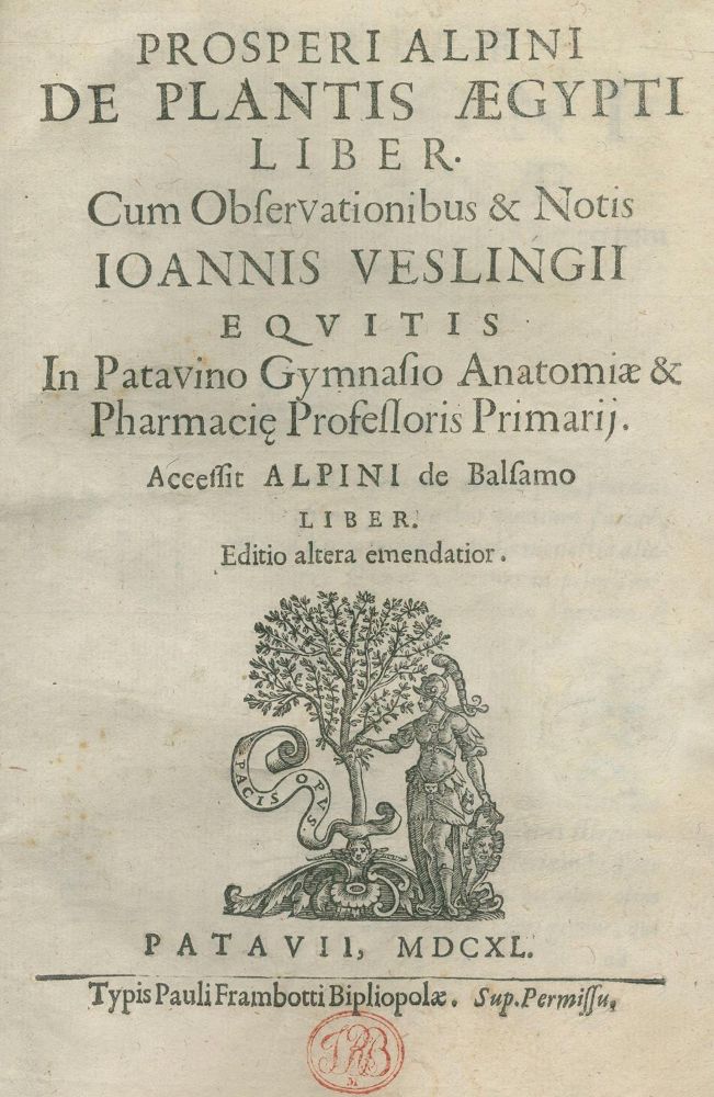 Große Abbildung Nr.1: 139-1457 Alpini,P.: (Botanik, Ägypten)