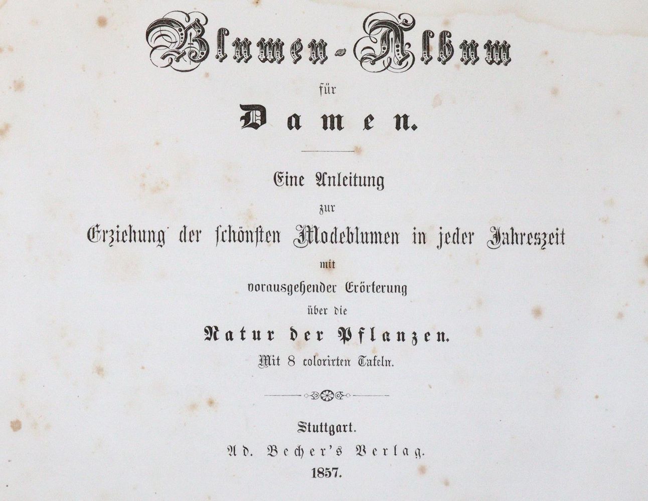 Große Abbildung Nr.2: 139-1460 Blumen-Album: (Botanik)