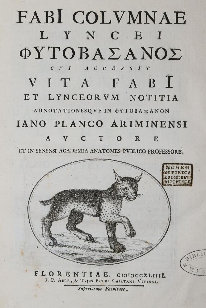 Große Abbildung Nr.2: 139-1462 Colonna,F.: (Botanik)