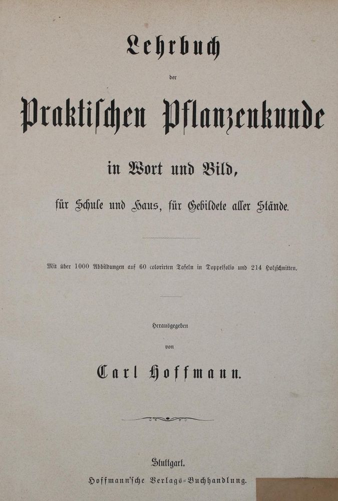 Große Abbildung Nr.2: 139-1466 Hoffmann,C.: (Botanik)