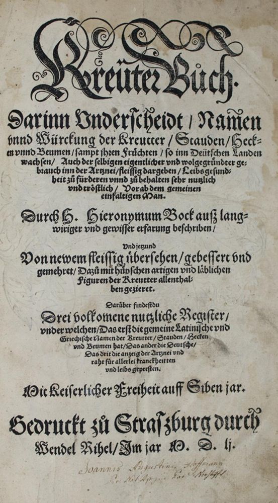 Große Abbildung Nr.1: 139-1468 Bock,H.: (Botanik, Kräuterbücher)