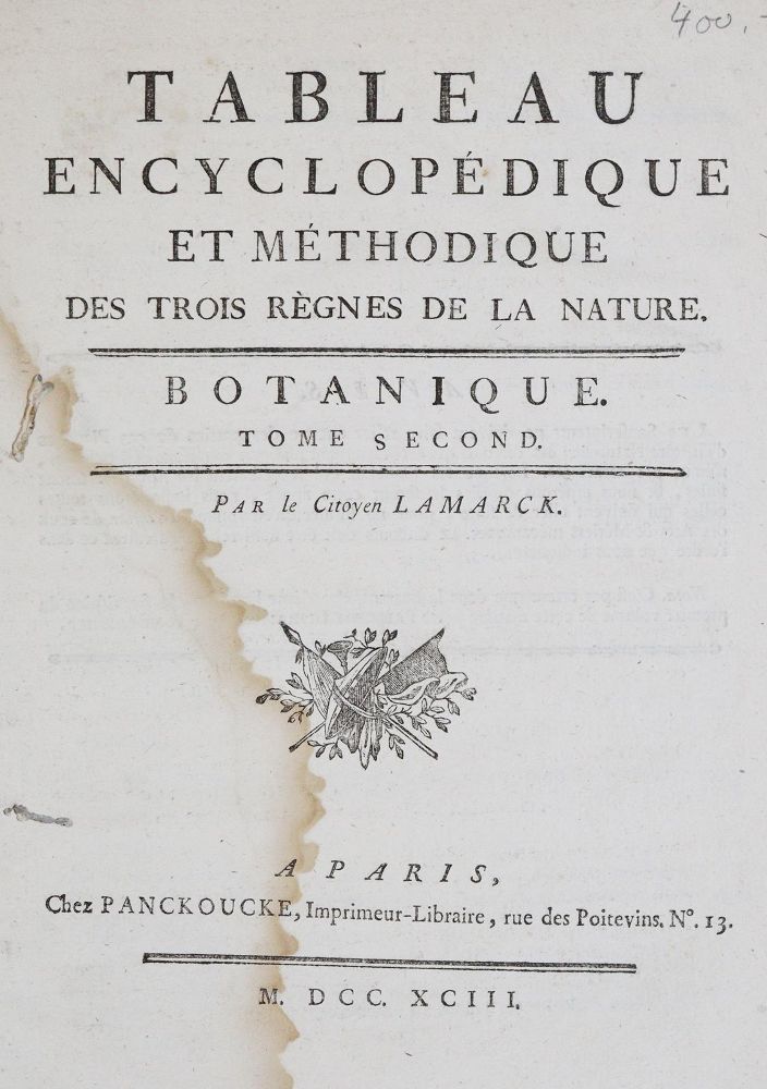 Große Abbildung Nr.1: 139-1470 Lamarck,(J.B.de).: (Botanik)