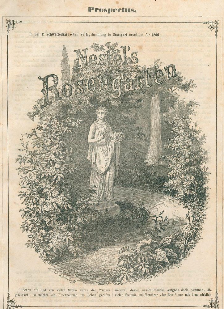 Große Abbildung Nr.1: 139-1473 Nestel,H.: (Botanik)