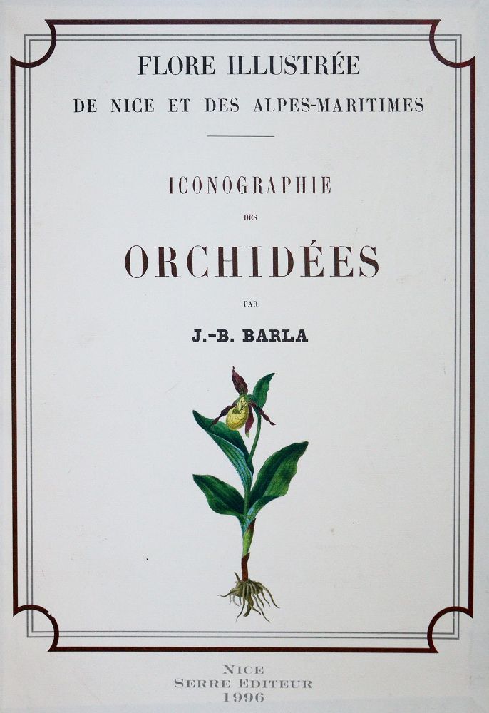 Große Abbildung Nr.2: 139-1475 Barla,J.B.: (Botanik, Orchideen)