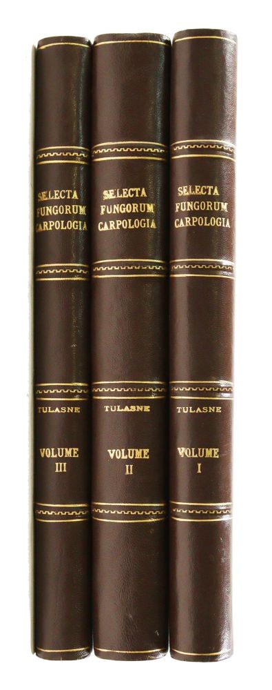 Große Abbildung Nr.2: 139-1481 Tulasne,L.R.: (Botanik, Pilze)