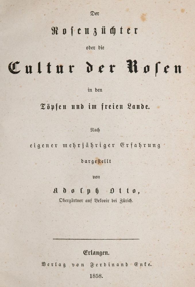 Große Abbildung Nr.1: 139-1482 Otto,A.: (Botanik, Rosen)