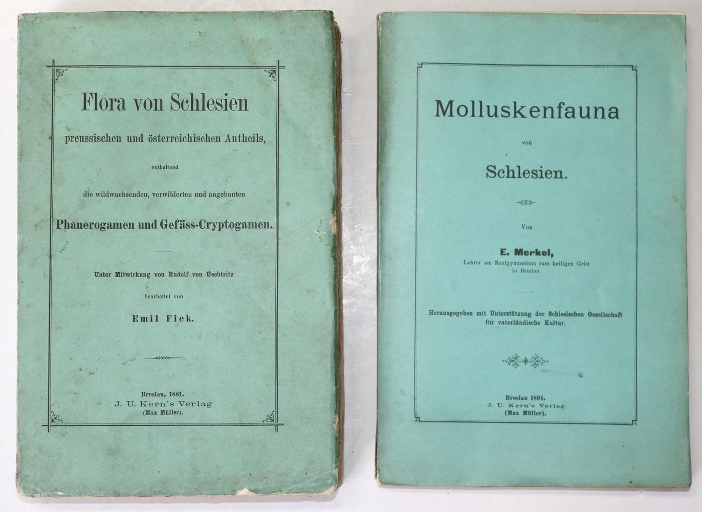 Große Abbildung Nr.1: 139-1489 Merkel,E.: (Botanik, Schlesien)