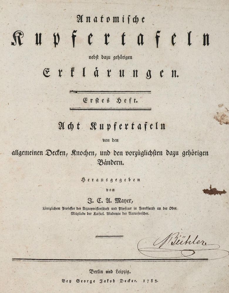 Große Abbildung Nr.2: 139-1505 Mayer,J.C.A.: (Medizin, Anatomie)
