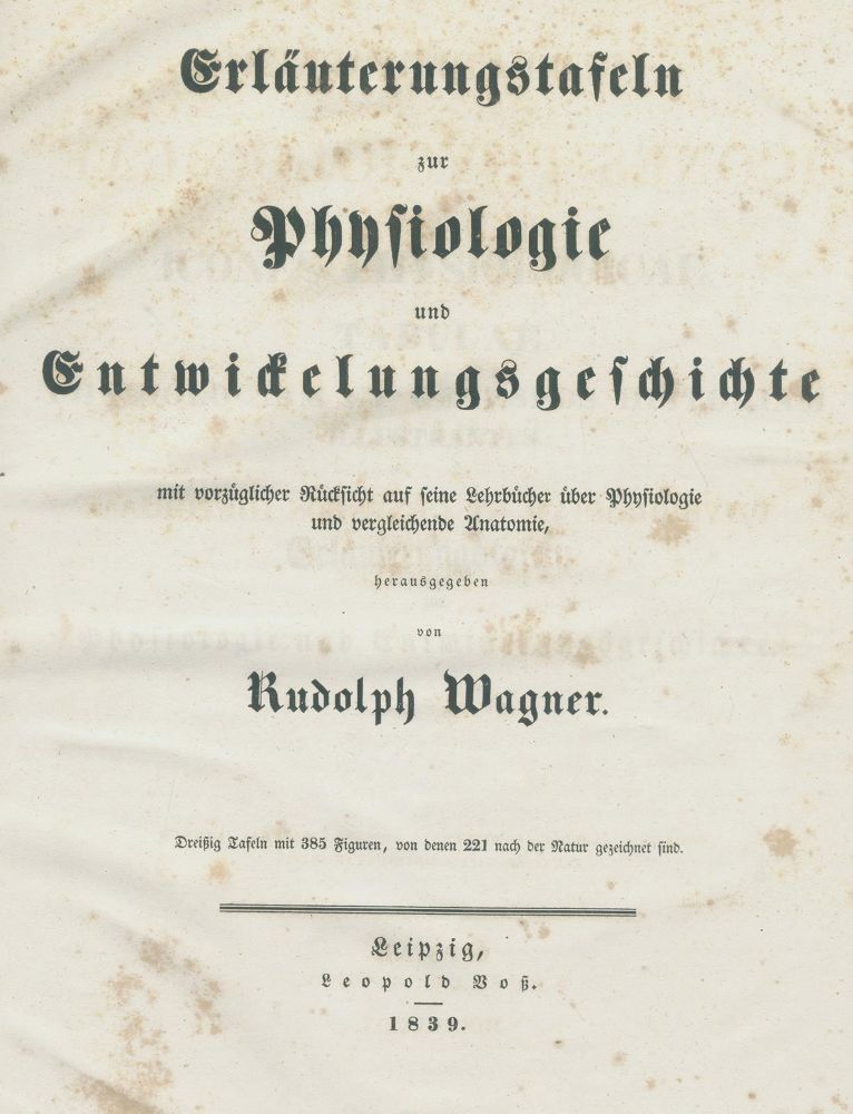 Große Abbildung Nr.1: 139-1506 Wagner,R.: (Medizin, Anatomie)