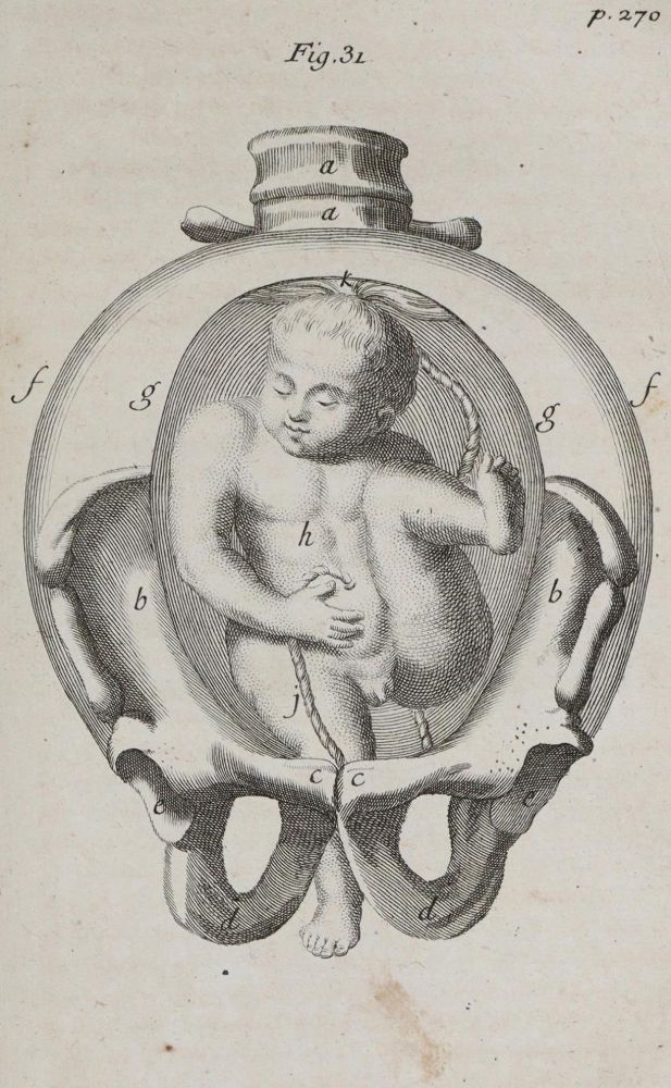 Große Abbildung Nr.2: 139-1520 Deventer,H.van.: (Medizin)