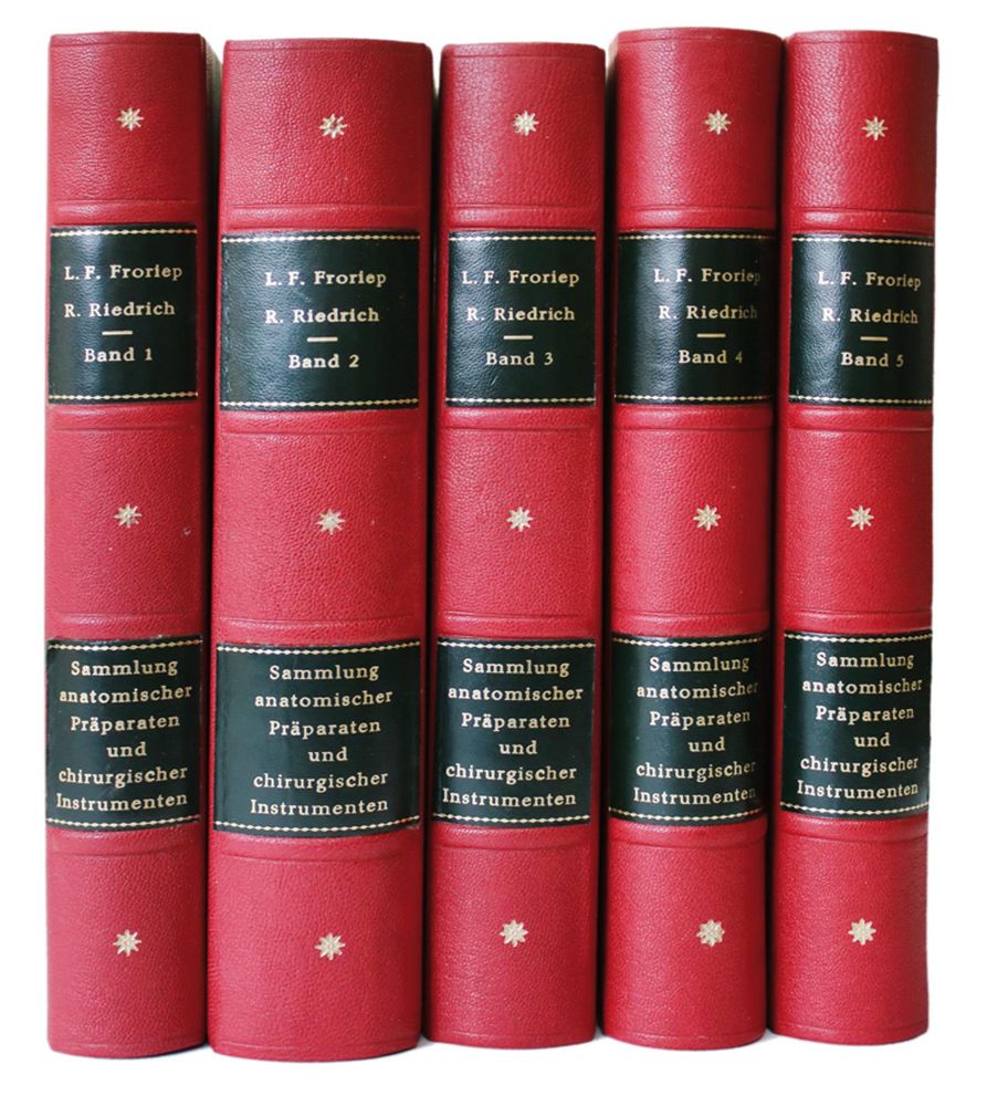 Große Abbildung Nr.1: 139-1523 (Froriep,R. u. L.Friedrich.: (Medizin)