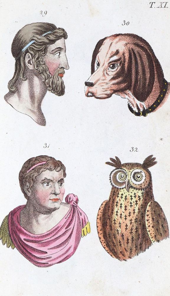 Große Abbildung Nr.1: 139-1590 Wilhelm,G.T.: (Medizin)