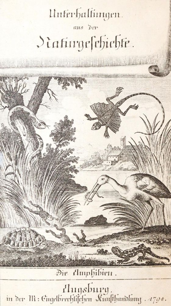 Große Abbildung Nr.2: 139-1593 (Wilhelm,G.T.).: (Zoologie, Amphibien)
