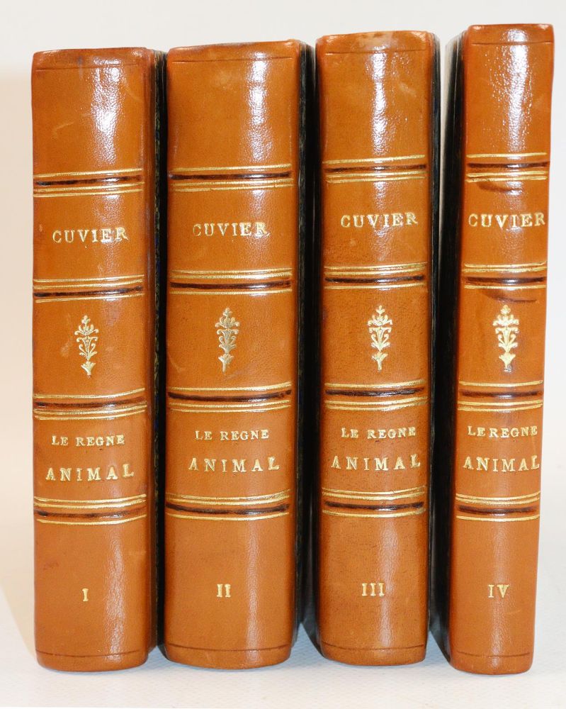 Große Abbildung Nr.4: 139-1595 Cuvier,(G.).: (Zoologie)