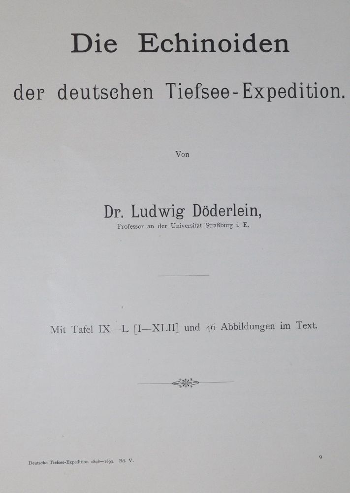 Große Abbildung Nr.1: 139-1597 Döderlein,L.: (Zoologie)