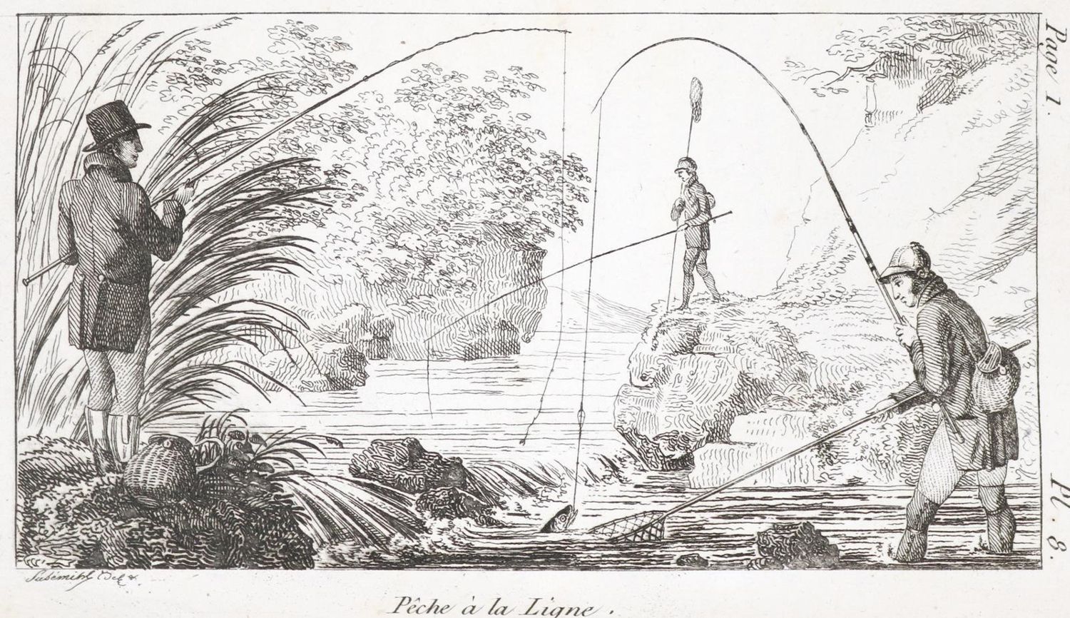 Große Abbildung Nr.1: 139-1600 Kresz,A.: (Zoologie, Fische)