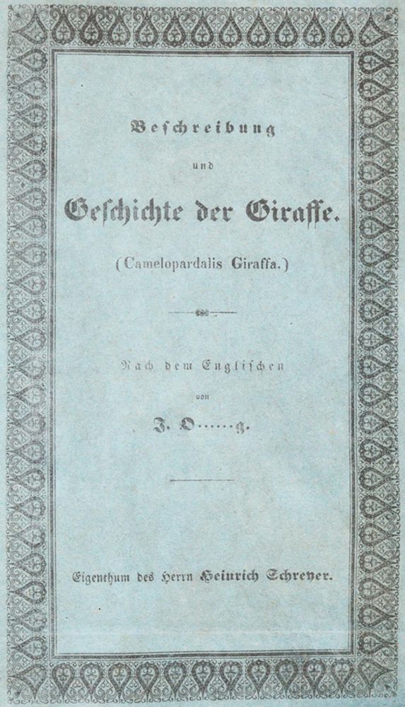Große Abbildung Nr.1: 139-1602 Giraffe.: (Zoologie)
