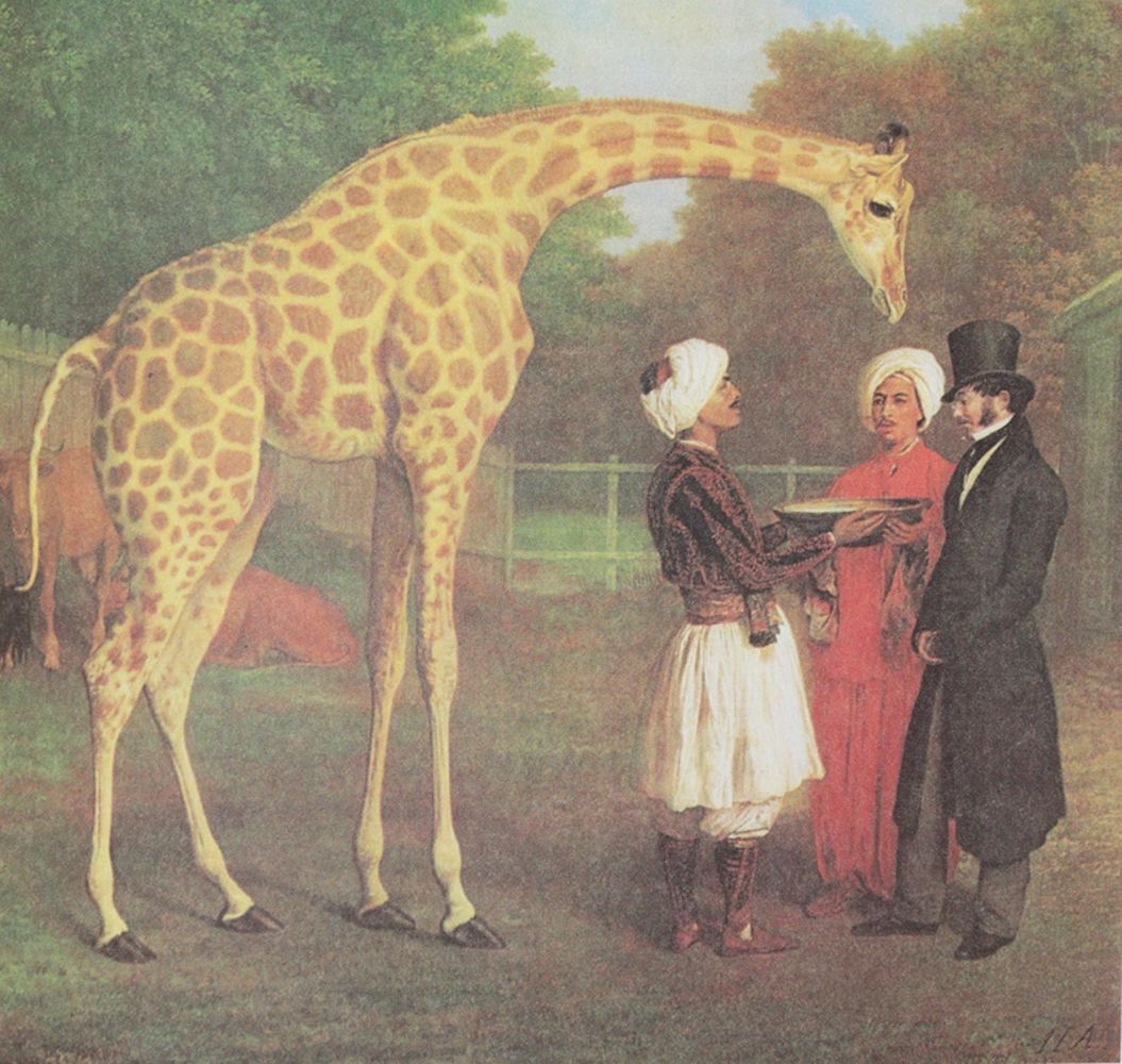 Große Abbildung Nr.3: 139-1602 Giraffe.: (Zoologie)