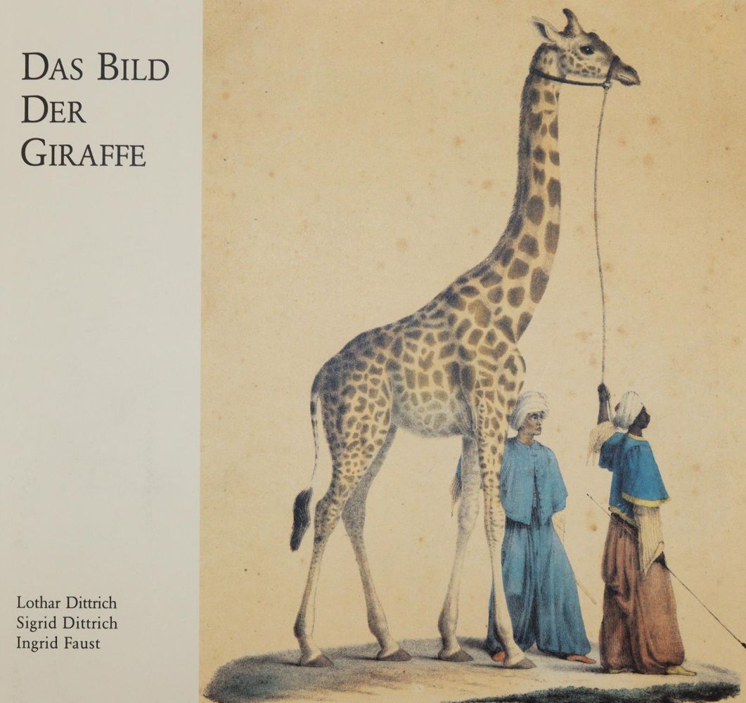 Große Abbildung Nr.4: 139-1602 Giraffe.: (Zoologie)