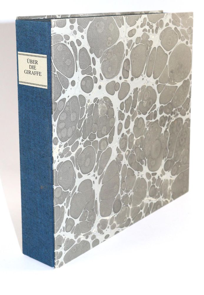 Große Abbildung Nr.5: 139-1602 Giraffe.: (Zoologie)