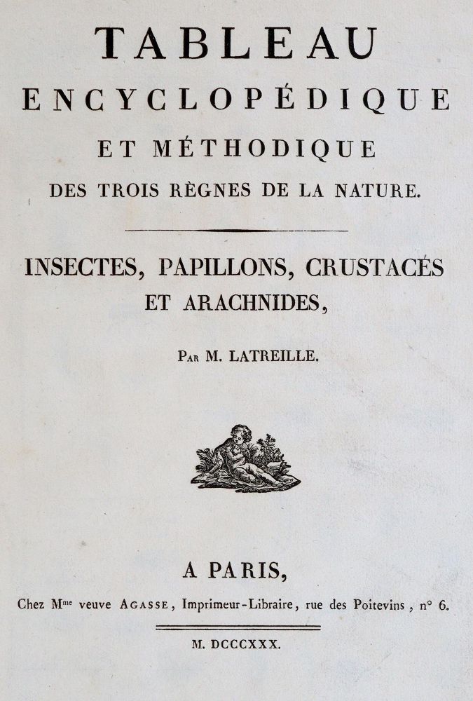 Große Abbildung Nr.2: 139-1605 Latreille,(P.A.).: (Zoologie, Insekten)