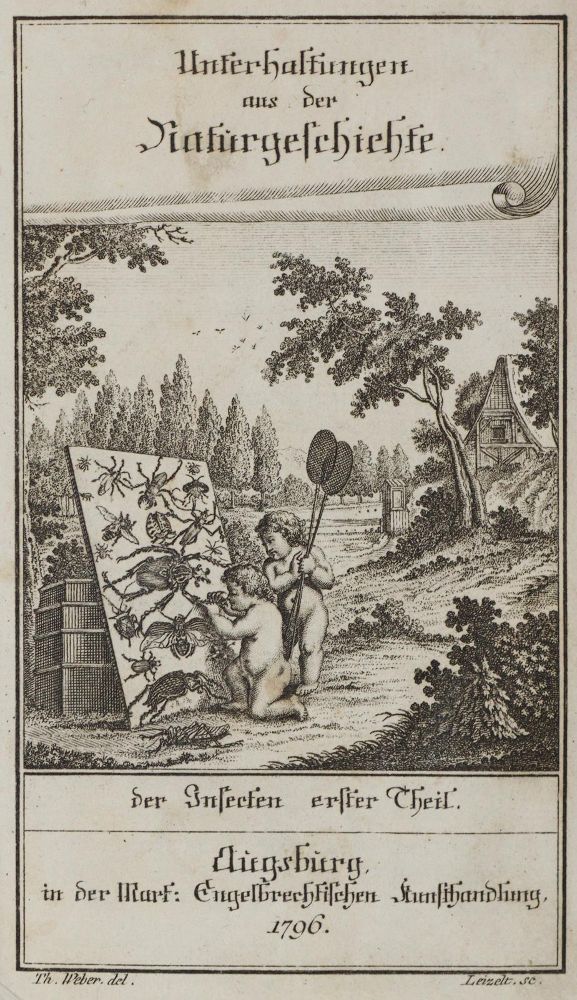 Große Abbildung Nr.4: 139-1607 Wilhelm,G.T.: (Zoologie, Insekten)