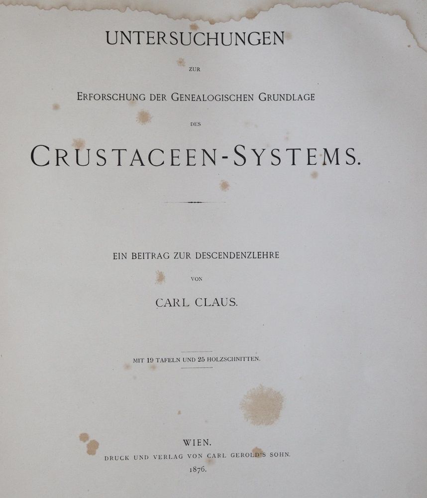 Große Abbildung Nr.3: 139-1609 Claus,C.: (Zoologie, Krebse)