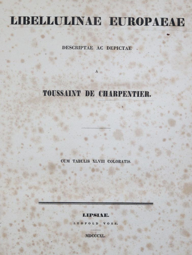 Große Abbildung Nr.2: 139-1610 Charpentier,T.v.: (Zoologie, Libellen)