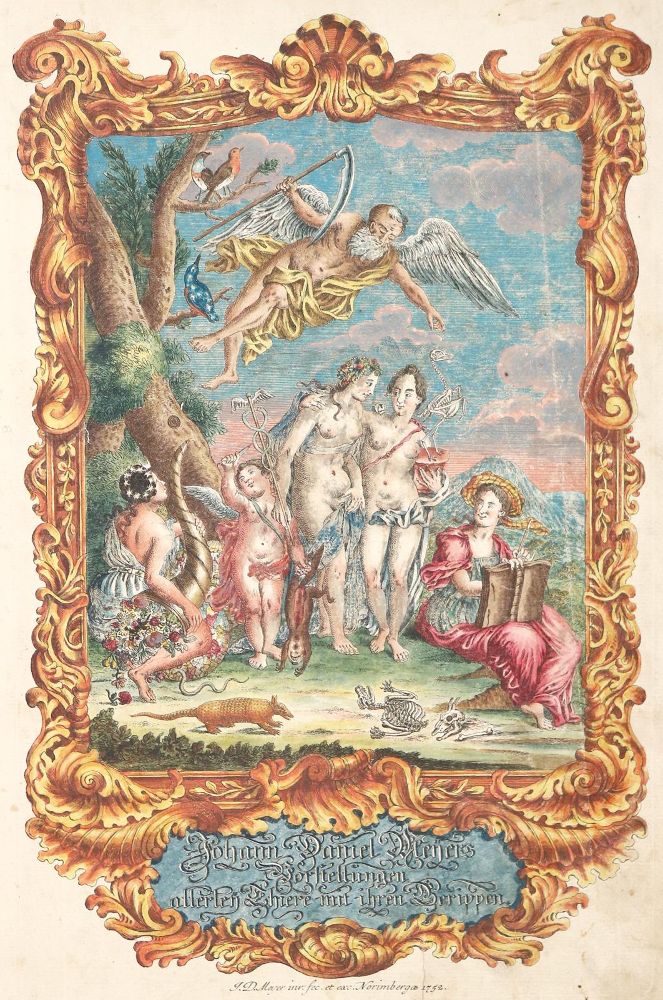 Große Abbildung Nr.1: 139-1612 Meyer,J.D.: (Zoologie)