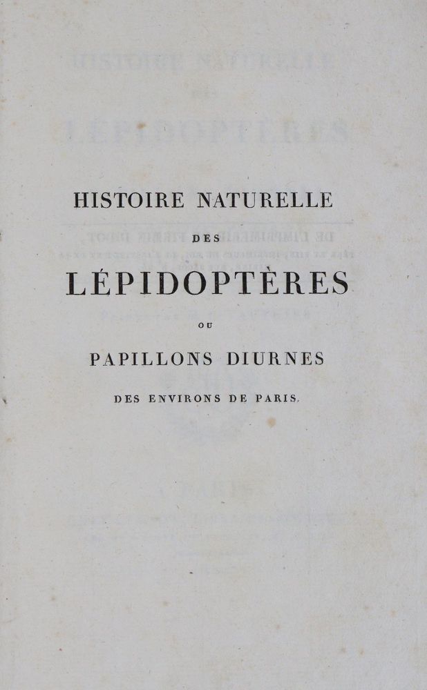 Große Abbildung Nr.3: 139-1619 Godart,J. u. P.Duponchel.: (Zoologie, Schmetterlinge)