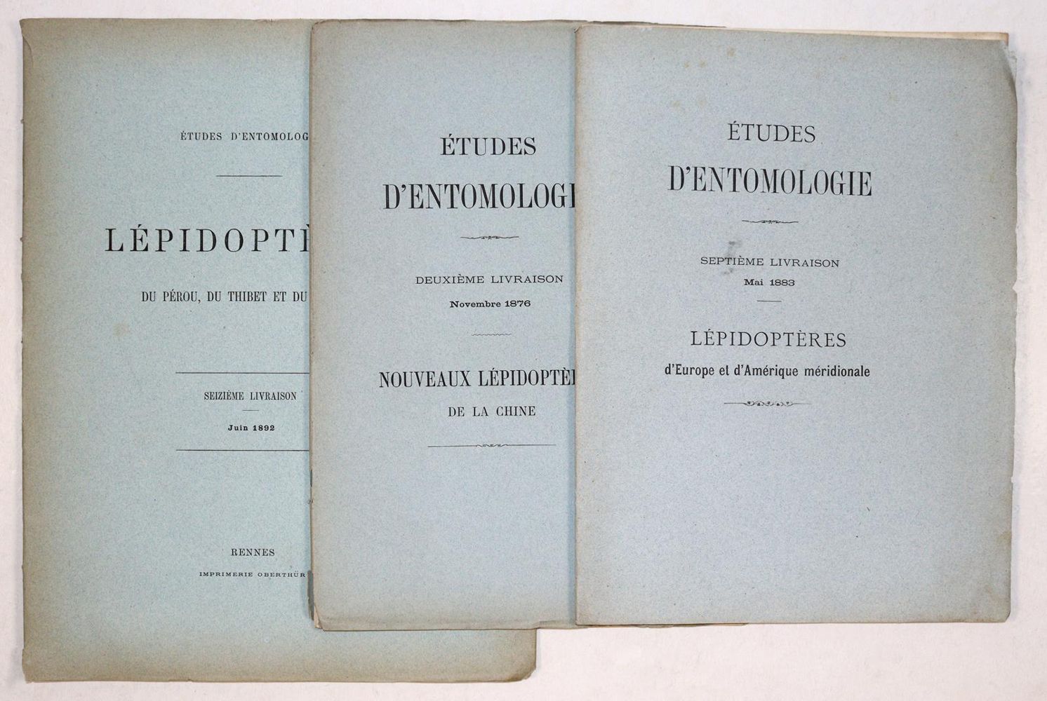 Große Abbildung Nr.2: 139-1622 Oberthür,C.: (Zoologie, Schmetterlinge)