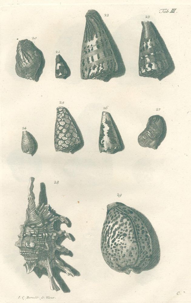 Große Abbildung Nr.2: 139-1627 Valentyn,F.: (Zoologie)