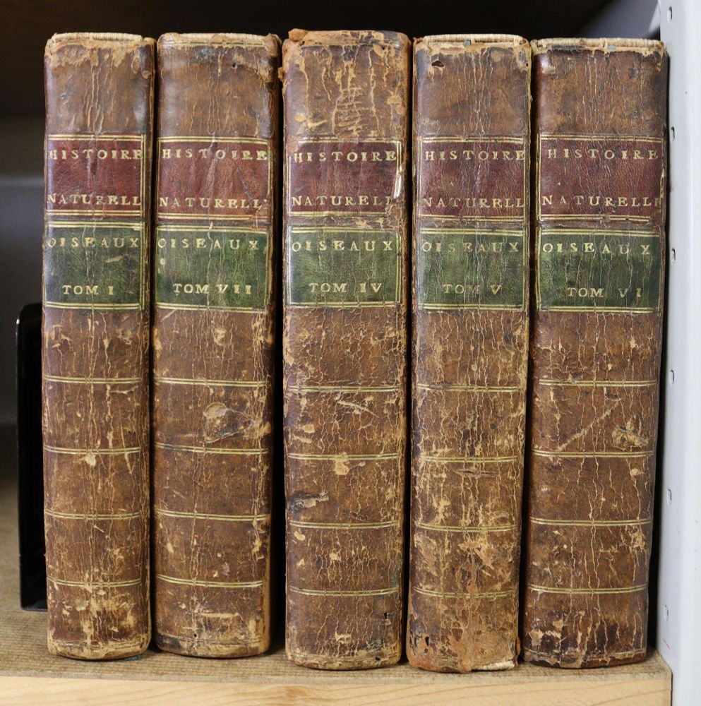 Große Abbildung Nr.4: 139-1629 (Buffon,G.L.L.de).: (Zoologie, Vögel)