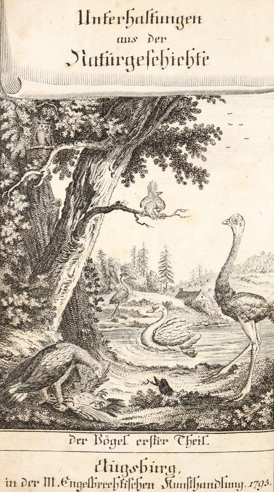 Große Abbildung Nr.3: 139-1635 (Wilhelm,G.T.).: (Zoologie, Vögel)