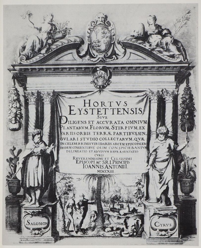 Große Abbildung Nr.5: 139-1668 Besler,B.: (Verschiedene Gebiete - Varia)