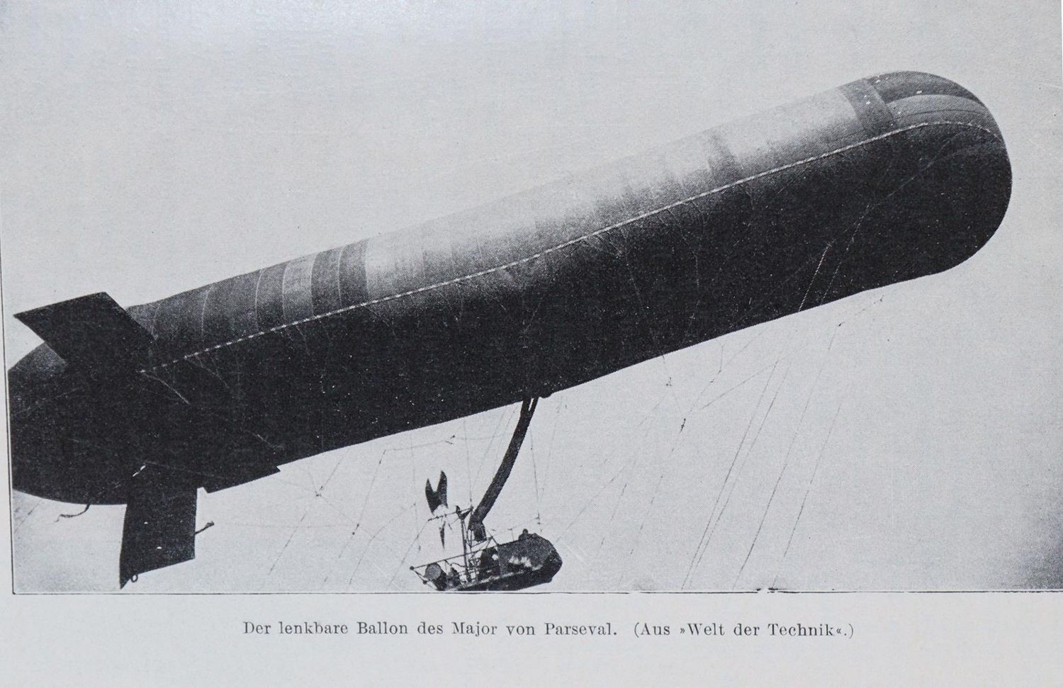 Große Abbildung Nr.1: 139-1671 Hess,C.: (Verschiedene Gebiete - Varia, Botanik)