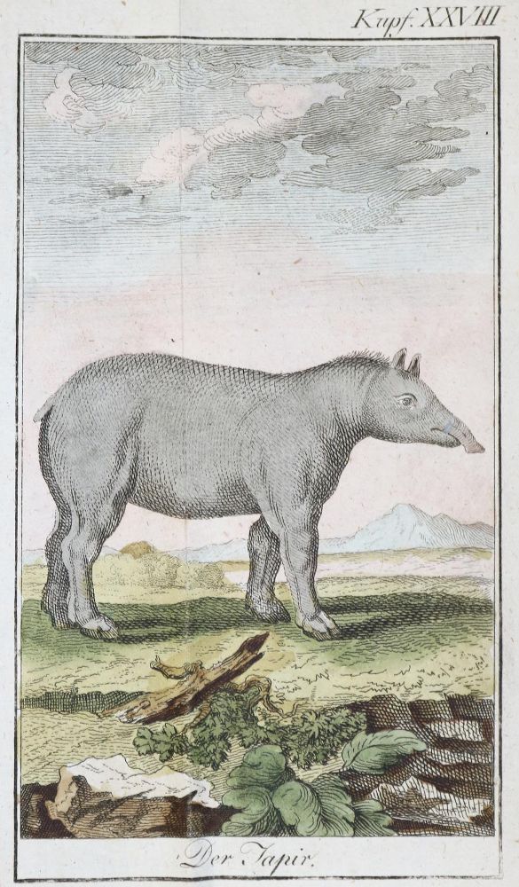 Große Abbildung Nr.2: 139-1678 (Ebert,J.J.).: (Verschiedene Gebiete - Varia)