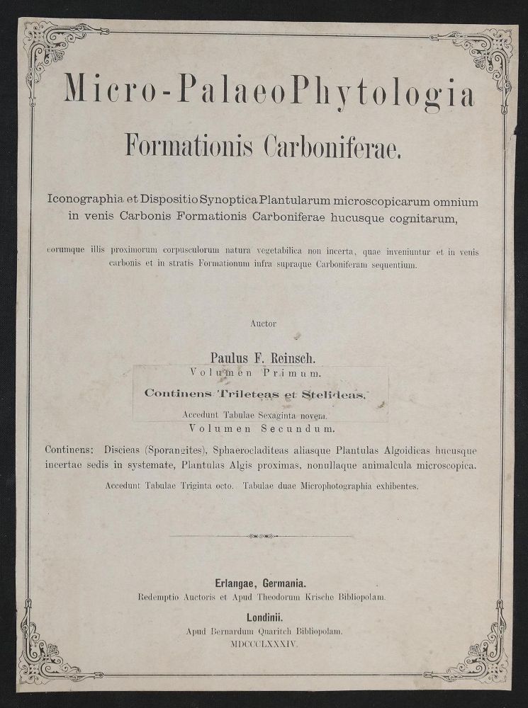 Große Abbildung Nr.2: 139-1696 Reinsch,P.F.: (Verschiedene Gebiete - Varia, Geologie - Mineralogie u. Paläontologie)