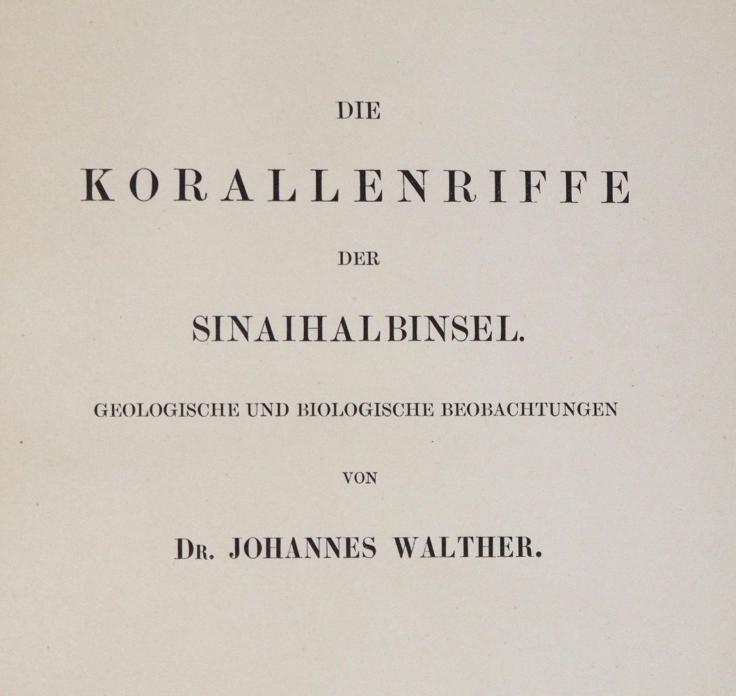 Große Abbildung Nr.4: 139-1701 Walther,J.: (Verschiedene Gebiete - Varia, Geologie - Mineralogie u. Paläontologie)