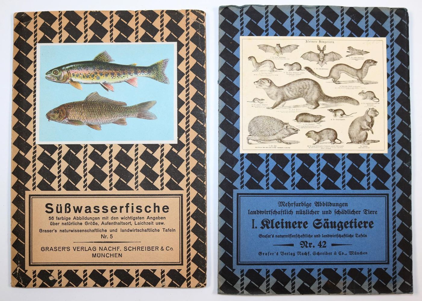 Große Abbildung Nr.1: 139-1702 Graser's: (Verschiedene Gebiete - Varia)
