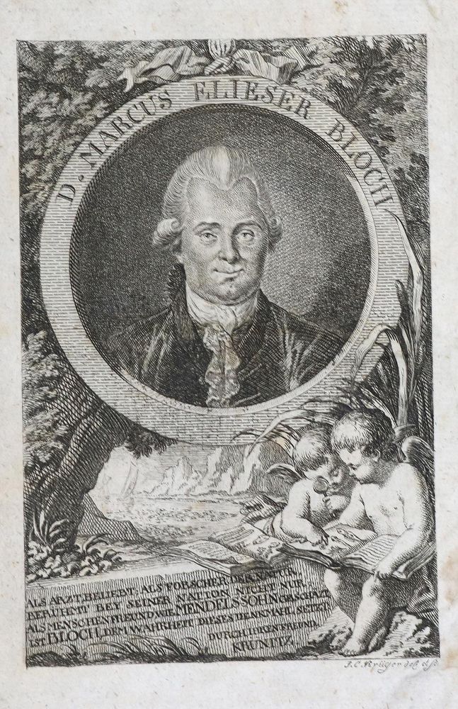 Große Abbildung Nr.2: 139-1714 Krünitz,J.G.: (Verschiedene Länder - Geschichte)