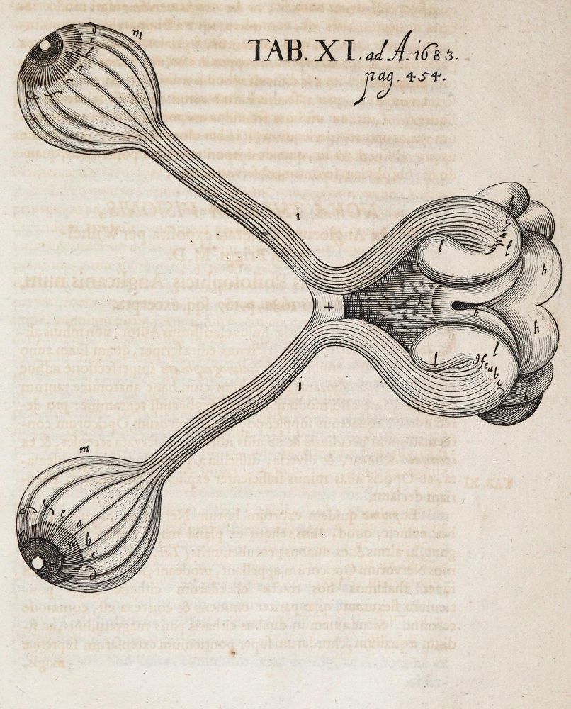 Große Abbildung Nr.1: 139-1742 Leibniz,G.W.: (Verschiedene Gebiete - Varia)