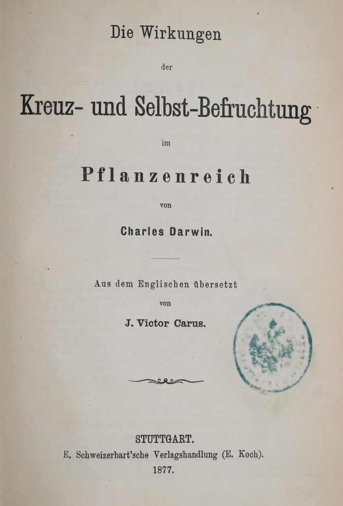 Große Abbildung Nr.1: 139-1799 Sammlung: (Verschiedene Gebiete - Varia)