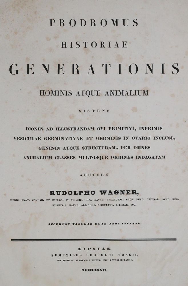 Große Abbildung Nr.1: 139-1818 Wagner,R.: (Verschiedene Gebiete - Varia)