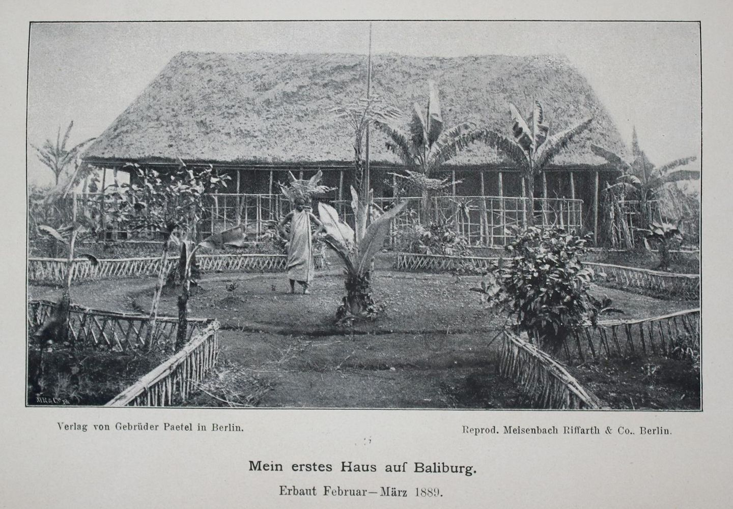 Große Abbildung Nr.1: 139-1833 Zintgraff,E.: (Afrika, Kamerun)