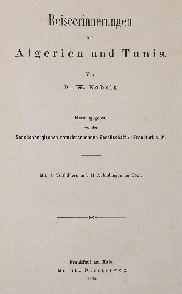 Große Abbildung Nr.1: 139-1835 Kobelt,W.: (Afrika)
