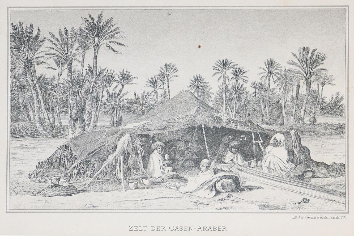 Große Abbildung Nr.2: 139-1835 Kobelt,W.: (Afrika)