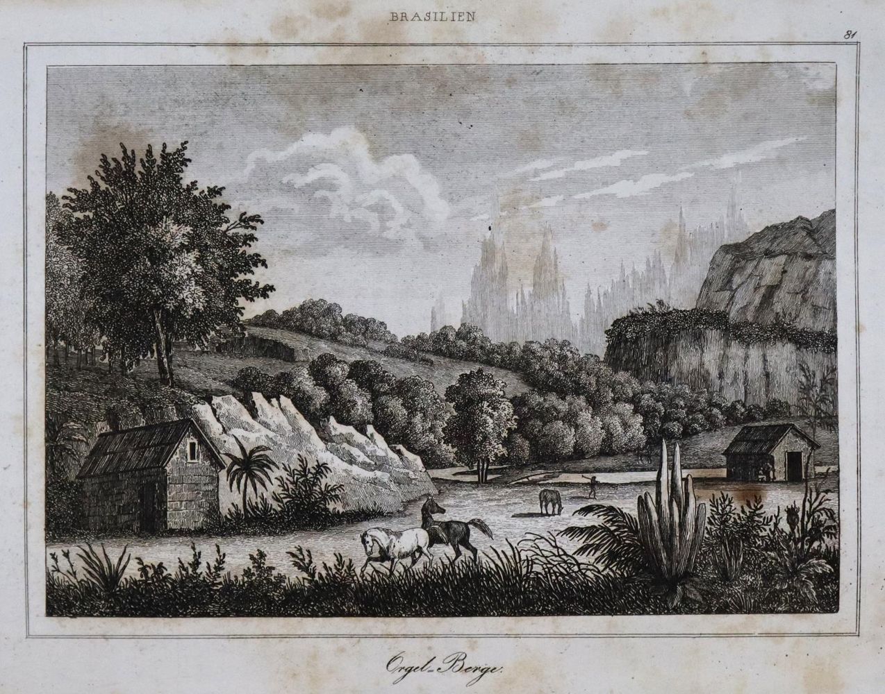 Große Abbildung Nr.3: 139-1846 Denys,F. u. (J.-B.-G.)Roux de Rochelle.: (Amerika)